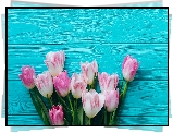 Biało-różowe, Tulipany, Niebieskie, Deski