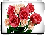 Bukiet, Różowo, Kremowych, Róż