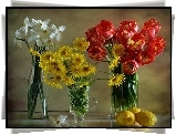 Bukiet, Tulipanów, Narcyzy, Margerytek, Cytryny