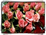 Bukiet, Róż