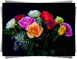 Róże, Bukiet Kwiatów