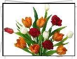 Bukiet, Kolorowych, Tulipanów, Róż
