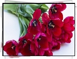 Bukiet, Czerwone, Tulipany