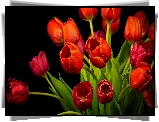 Bukiet, Czerwone, Tulipany
