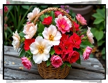 Kwiaty, Białe, Różowe, Czerwone, Koszyk, Deski