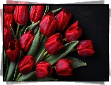 Tulipany, Czerwone, Kwiaty, Czarne, Tło