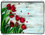 Czerwone, Tulipany, Serduszka, Deski
