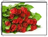 Bukiet, Czerwonych, Roz