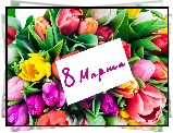 Dzień Kobiet, Kartka, Różnokolorowe, Tulipany