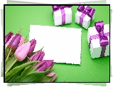 Kwiaty, Fioletowe, Tulipany, Prezenty, Kartka, Zielone tło
