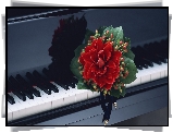 Fortepian, Bukiet, Czerwonych, Kwiatów