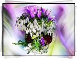 Grafika, Kwiaty, Bukiet, Przebiśniegi, Krokusy, Koszyczek