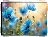 Niebieskie, Maki, Kwiaty, Grafika