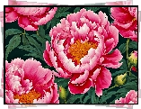 Piwonie, Różowe, Kwiaty, Grafika