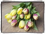 Bukiet, Jasnych, Tulipanów