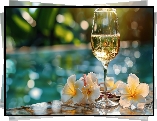 Kompozycja, Kieliszek, Wino, Kwiaty, Plumeria