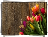Kolorowe, Tulipany, Deski, Papier