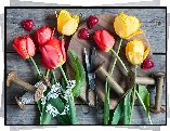 Kolorowe, Tulipany, Nożyczki, Kompozycja