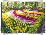 Park, Kolorowe, Tulipany