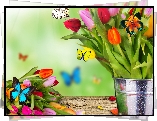 Kolorowe, Tulipany, Wiadro, Motylki