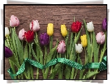 Kolorowe, Tulipany, Wstążka, Deski