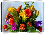 Bukiet, Kolorowych, Kwiatów