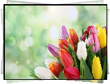Bukiet, Kolorowych, Tulipanow