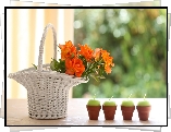 Koszyczek, Bukiet, Róż, Cztery, Świeczki, Dekoracja