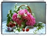 Piwonie, Koszyk, Truskawki