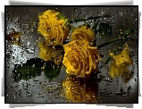Żółte, Róże, Krople, Deszczu
