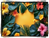 Plumeria, Hibiskus, Kwiaty, Monstera, Liście, Żółte tło, Kwiat