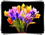 Bukiet kwiatów, Fractalius, Tulipany, Irysy, Czarne tło