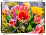 Bukiet, Kwiatów, Tulipany