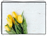 Kwiaty, Żółte, Tulipany, Białe, Deski