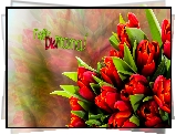 Kwiaty, Tulipany, Napis, Dzień Matki