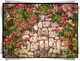 Kwiaty, Murek, Kamienny, Art