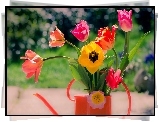 Kolorowe, Kwiaty, Tulipany