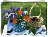 Bukiet, Kwiaty, Chabry, Rumianki, Nagietki, Porzeczka, Koszyk, Kubek