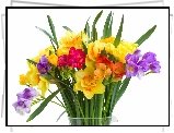 Kwiaty, Bukiet, Kwitnące, Kolorowe
