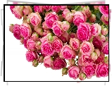 Kwiaty, Bukiet, Rozowe, Roze
