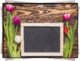 Kwiaty, Tulipany, Kolorowe, Tabliczka, Deski