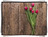 Kwiaty, Tulipany, Pięć, Tulipanów, Deski