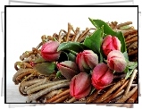 Kwiaty, Bukiet, Tulipany, Wiklina
