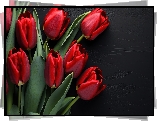 Czerwone, Kwiaty, Tulipany, Tło, Czarne