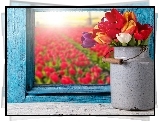 Tulipany, Kwiaty, Okno