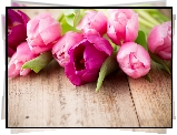 Kwiaty, Różowe, Tulipany, Deski
