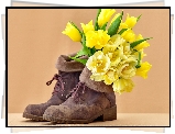 Kwiaty, Żółte, Tulipany, Zamszowe, Buty