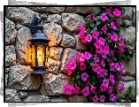Murowana, Ściana, Świecąca, Lampa, Purpurowe, Kwiaty