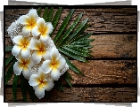 Kwiat, Plumeria, Ręcznik, Liść, Drewno Kwiat