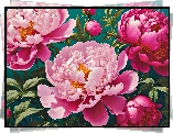 Piwonie, Różowe, Kwiaty, Liście, Grafika 2D